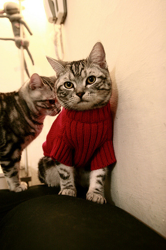 绿茵展廊，当法国队的险胜遇见辛杜的弧线