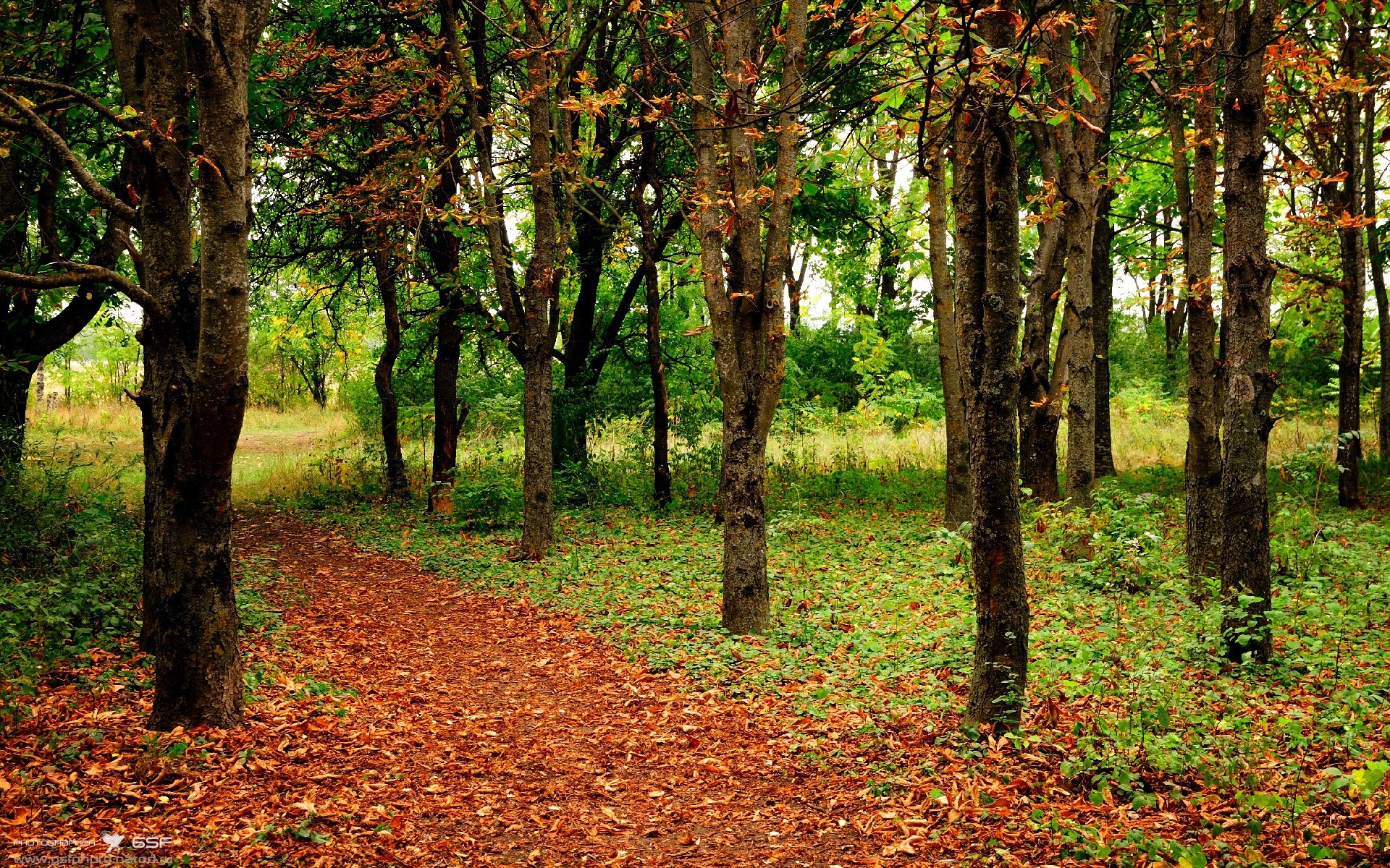 爱游戏娱乐-当魔术师降临伯纳乌，哈弗茨用阿根廷画笔，在皇马的白墙上涂抹幻梦