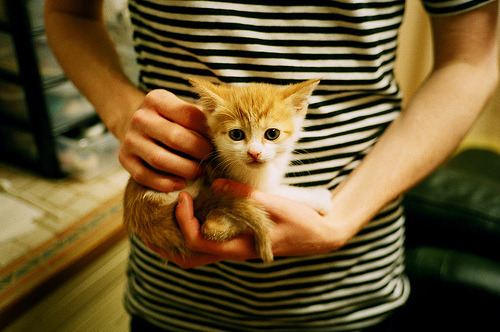 破茧，从联合杯的团队屏障到法网的个人蜕变