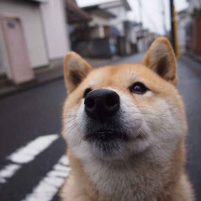 尼克斯昂首挺进，切特关键爆发制胜老鹰