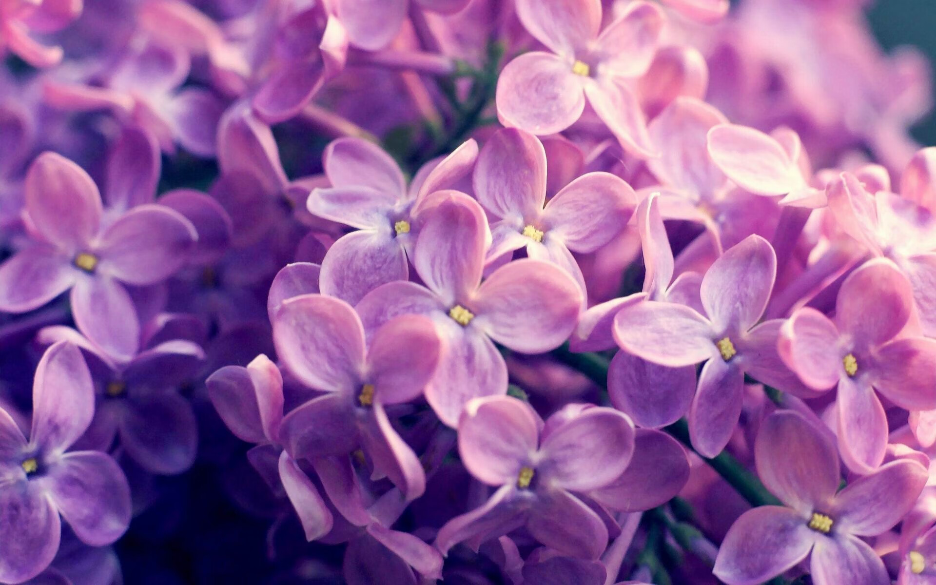 爱游戏大厅-京多安化身指挥官，阿森纳客场轻取莱比锡红牛展露冠军相