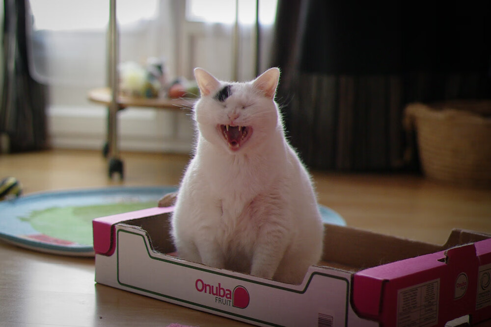 节奏大师的指挥棒，马尔基尼奥斯掌控全局，姆巴佩刺出致命一击