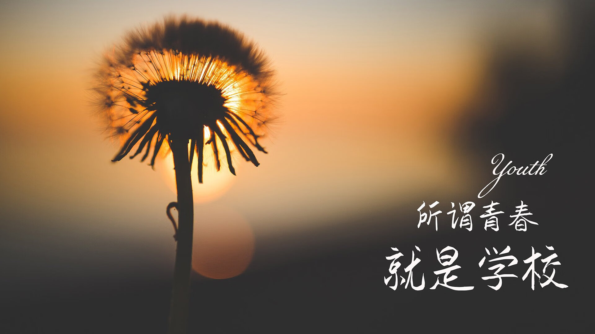 节奏之手，努涅斯如何在2026世界杯A组战中为哥伦比亚锁定胜局