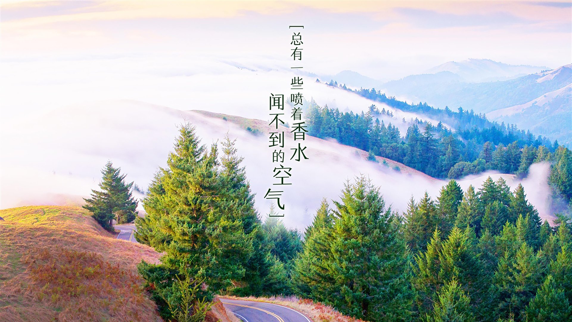 蓝衣折戟，三狮新王，福登压哨绝杀，2026世界杯上演最戏剧性强强对话