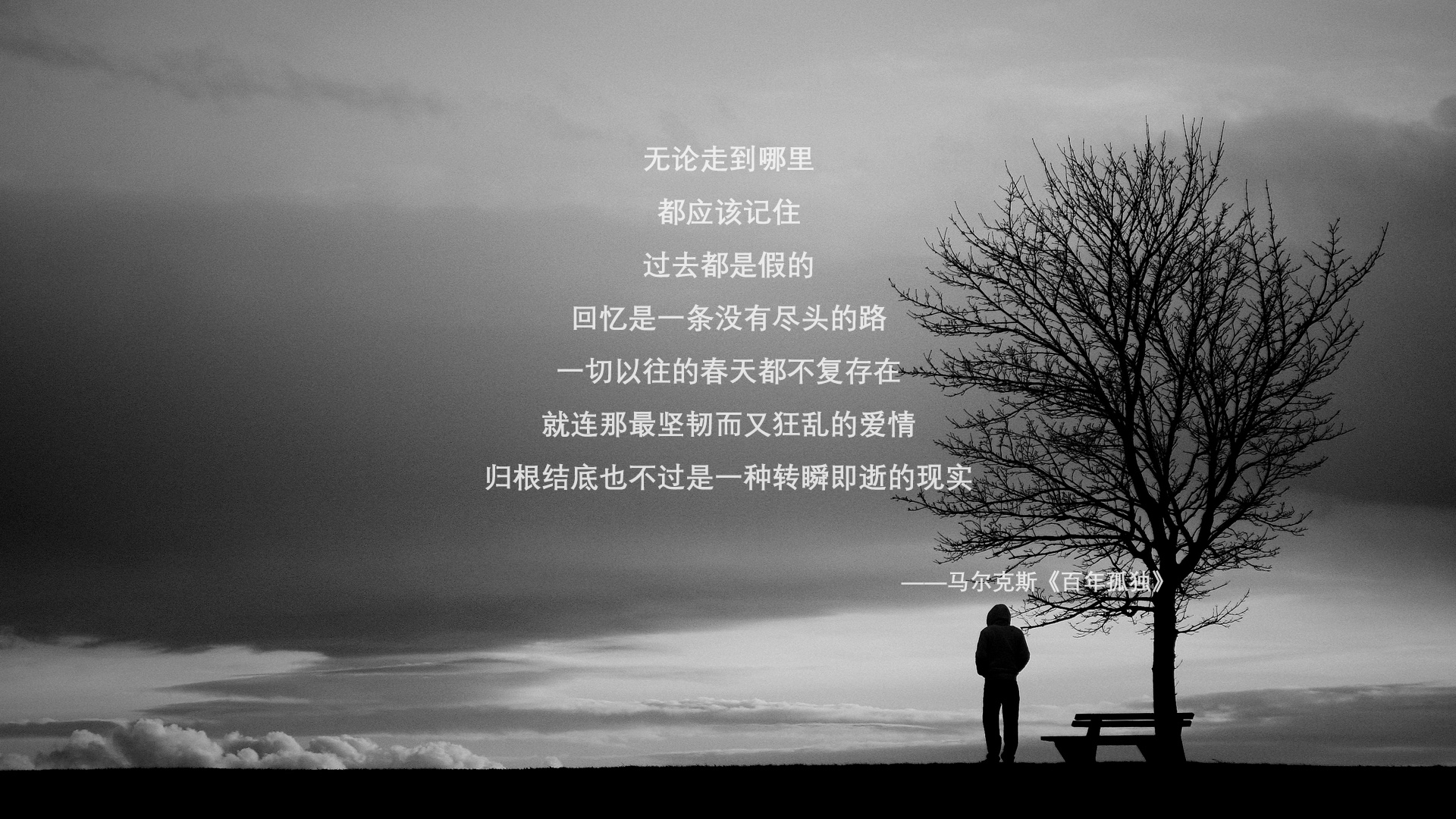 费利克斯之夜，2026世界杯G组唯一的神奇逆转，挪威与美国书写冰与火之歌