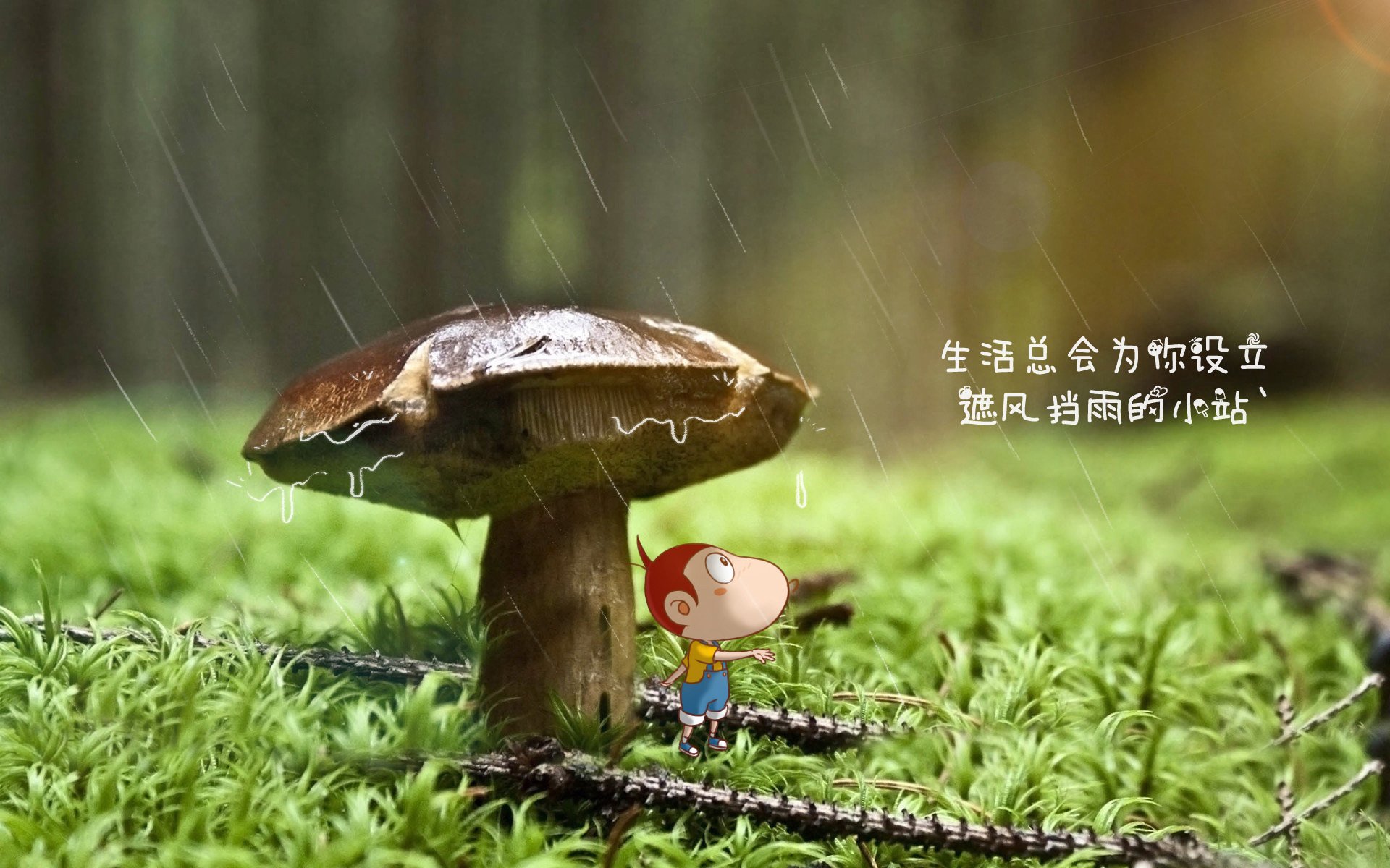 孤星对决，2026世界杯G组，挪威冰霜熄灭星条旗，卢卡库铸就橙色王冠