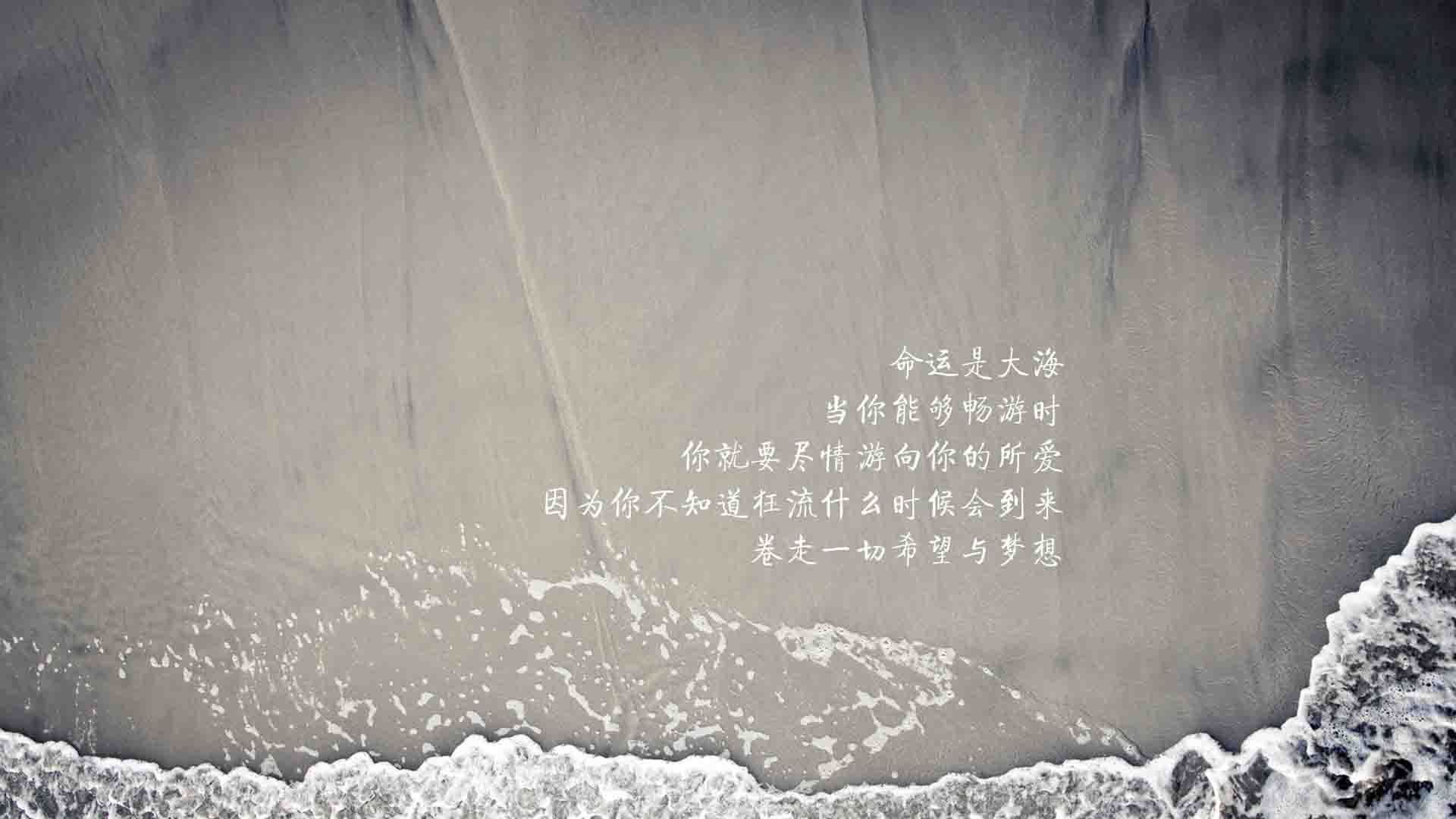 孤注一掷的蓝白闪电—2026世界杯B组关键战，波兰绝杀厄瓜多尔，费利克斯的防守反击神作