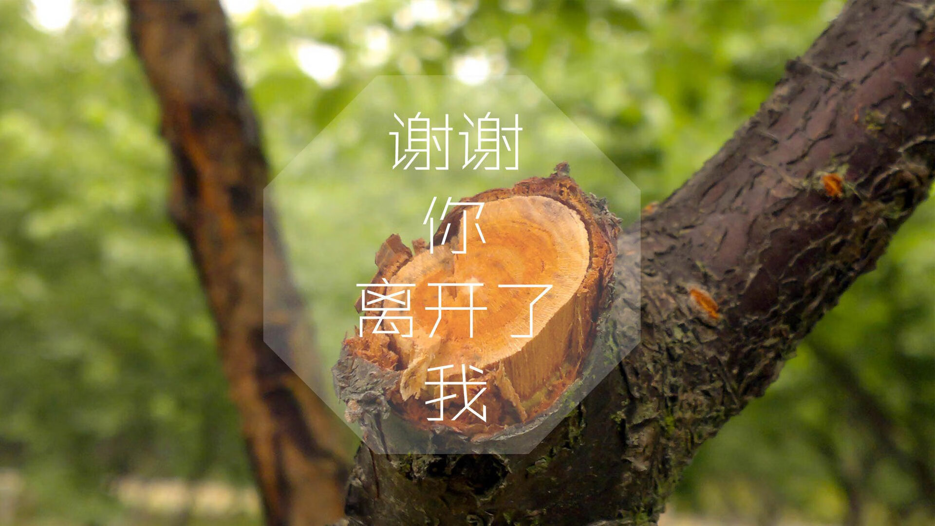 控球时代的终极绝唱，当喀麦隆的黑色闪电劈开南美坚冰，梅西的致命一击为2026世界杯B组写就唯一剧本