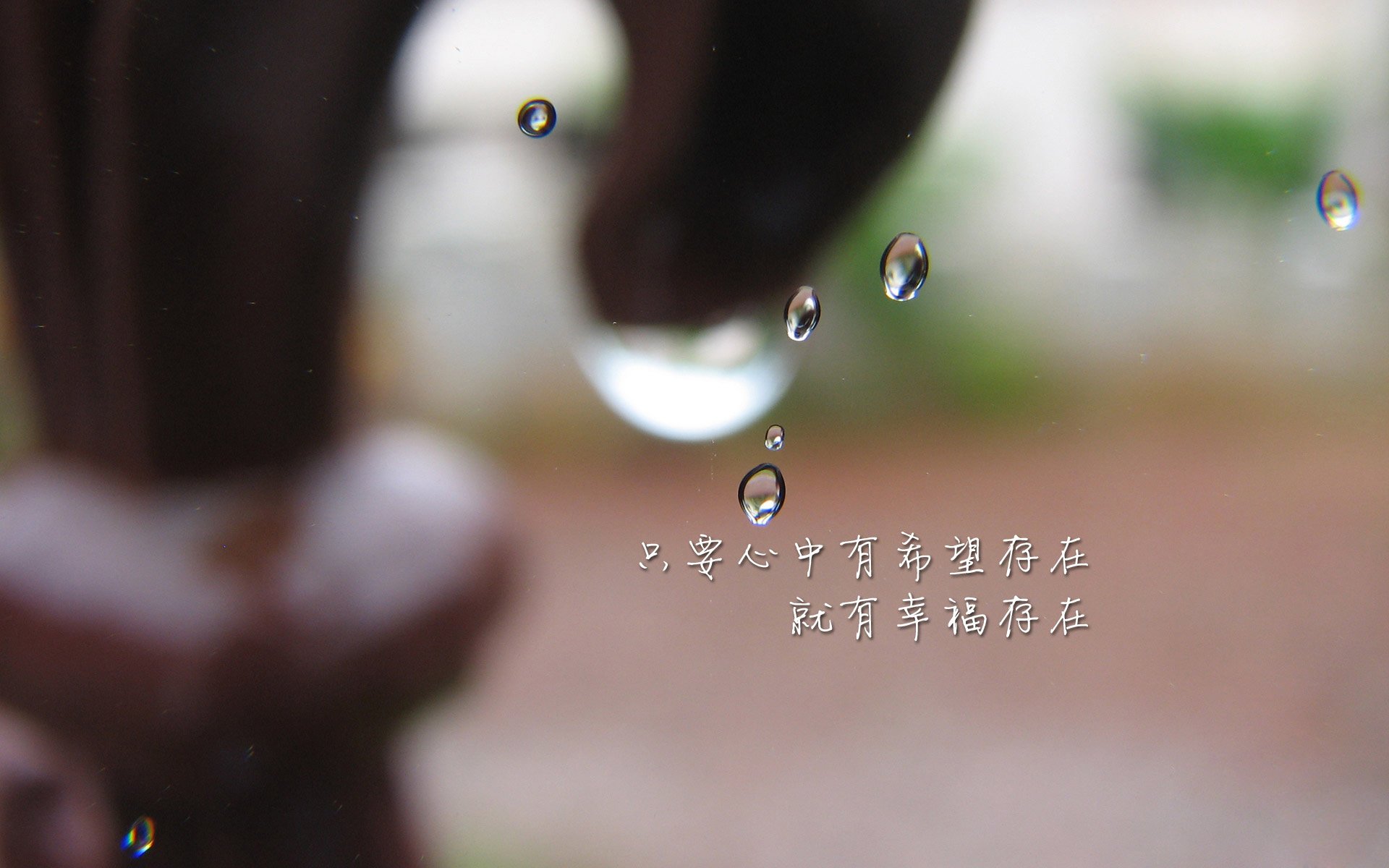 郁金香在风暴中绽放，当替补奇兵撕裂宿命，荷兰用绝杀改写2026世界杯的剧本